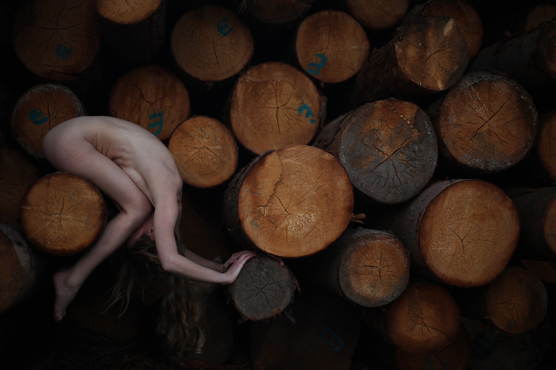 JANA SVATÁ (ARTEMI SANTI) - FOTOKONTAKT - SPOLUPRACUJÍCÍ MODELKY