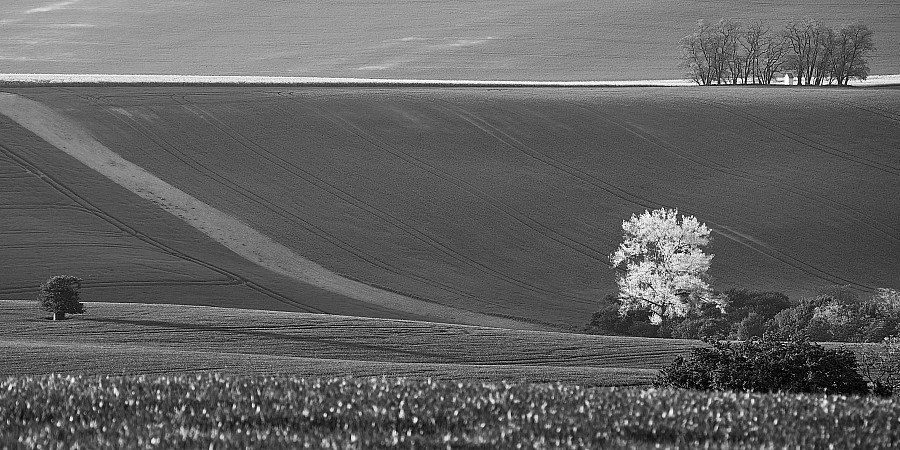 Moravské Toskánsko - lokace FOTOKONTAKT