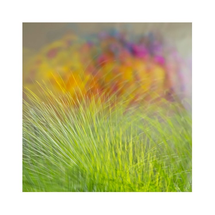 JANA VAŇOURKOVÁ | fotokontakt.cz | lidé